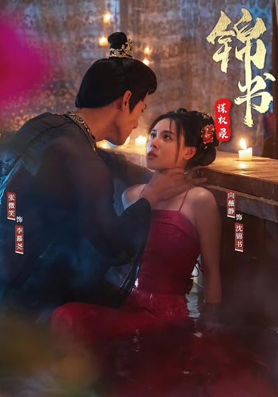 錦書謀權錄