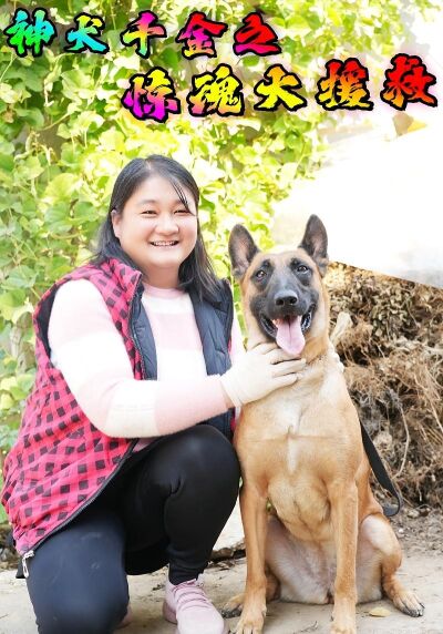 神犬千金之惊魂大援救