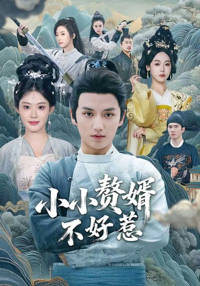 小小贅婿不好惹