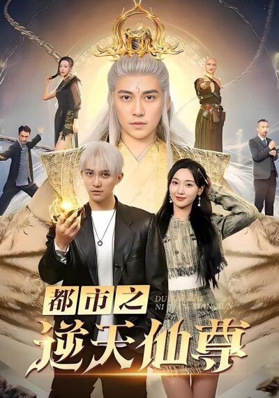 都市之逆天仙尊