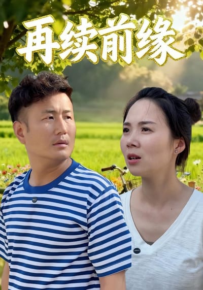 再续前缘