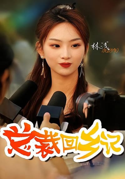 总裁回乡记