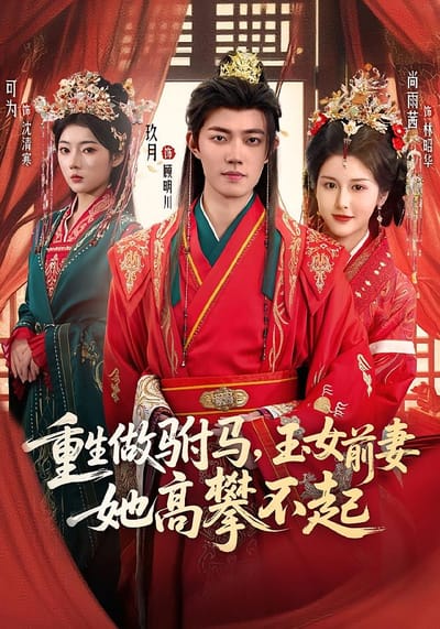 重生做駙馬，玉女前妻她高攀不起