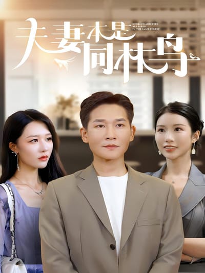夫妻本是同林鳥