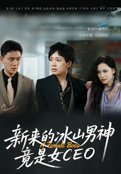 新來的冰山男神竟是女CEO