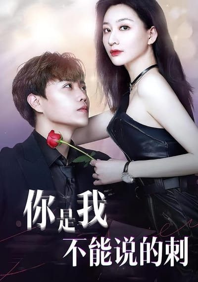 你是我不能说的刺