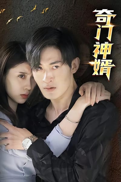 奇门神婿