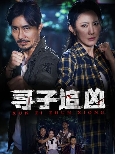 寻子追凶