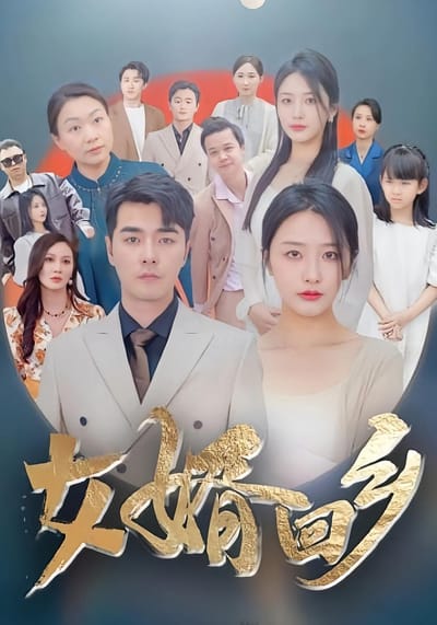 女婿回乡