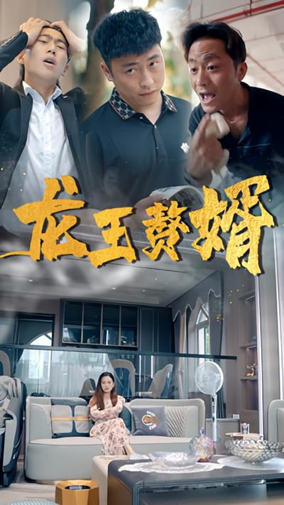 龍王贅婿