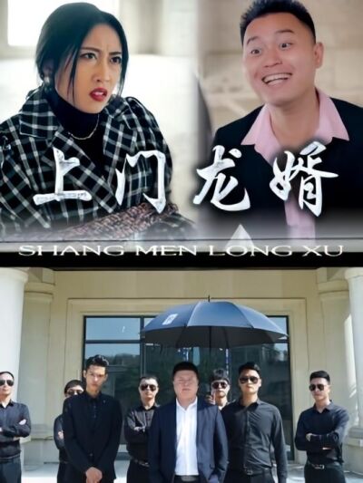 上門龍婿