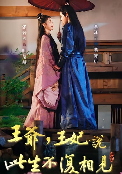 王爺，王妃說此生不復相見