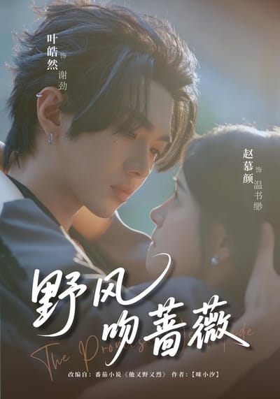野風吻薔薇