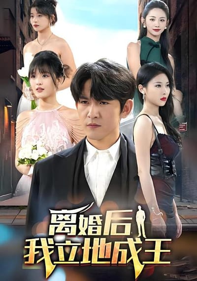 离婚后我立地成王