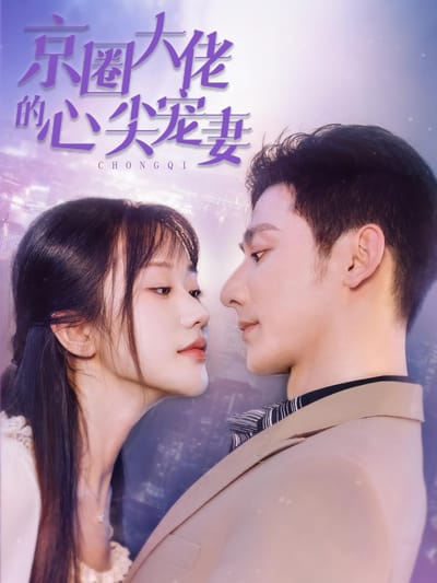 京圈大佬的心尖寵妻