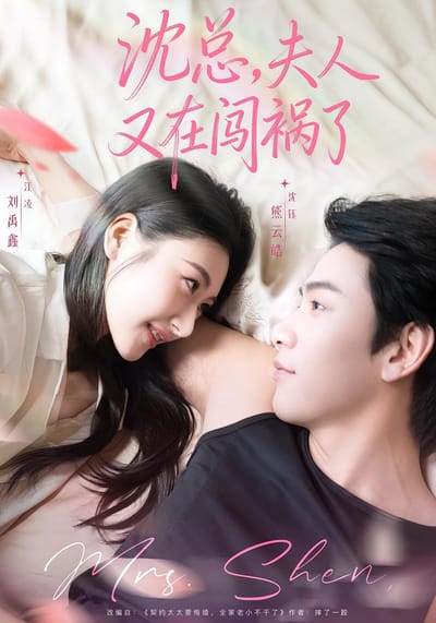 沈总，夫人又在闯祸了