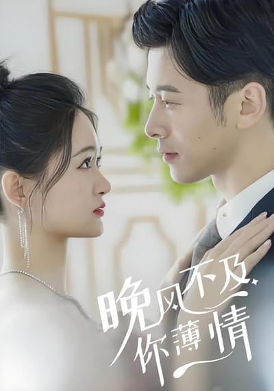 晚风不及你薄情