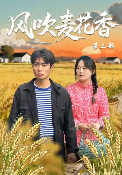 風吹麥花香第三部
