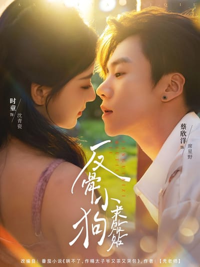 反骨小狗求貼貼