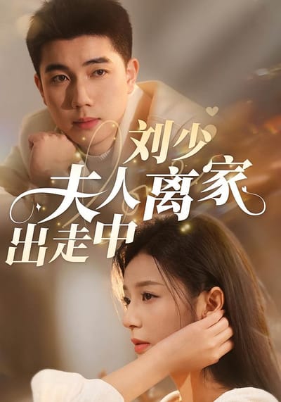 刘少，夫人离家出走中