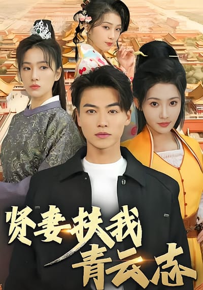 贤妻扶我青云志
