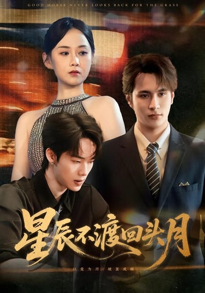 星辰不渡回頭月