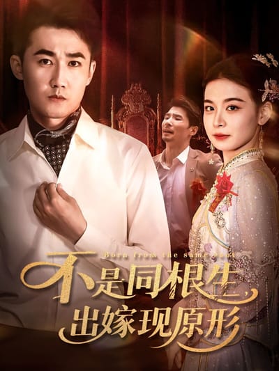 不是同根生，出嫁现原形