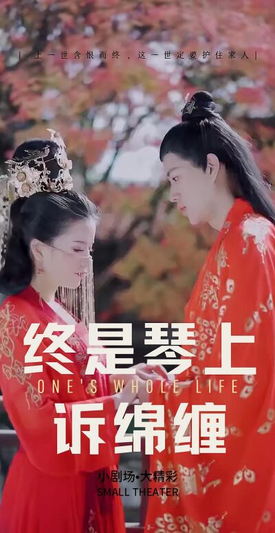 終是琴上訴綿纏