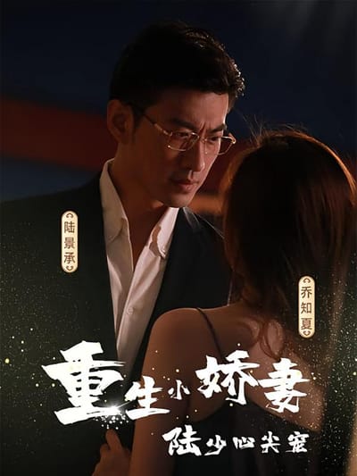 重生小嬌妻，陸少心尖寵