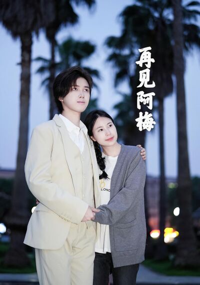再见阿梅