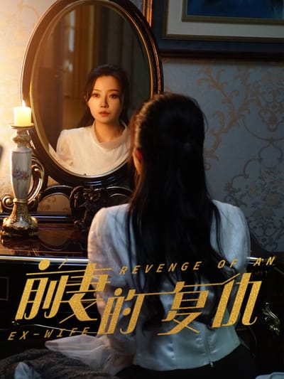 前妻的复仇