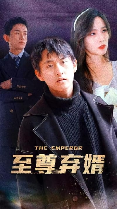 至尊棄婿