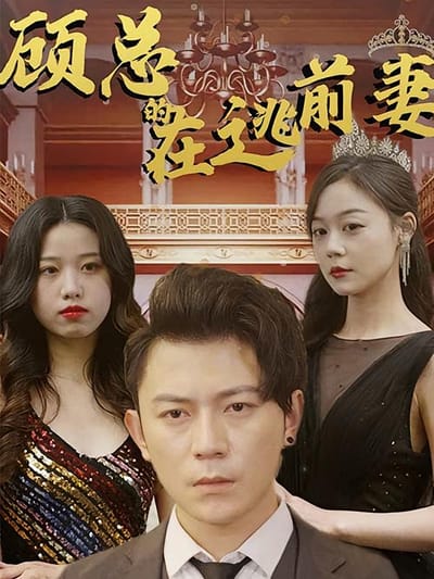 顧總的在逃前妻