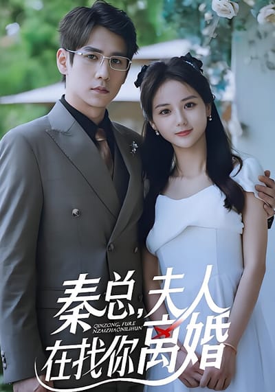 秦总夫人在找你离婚