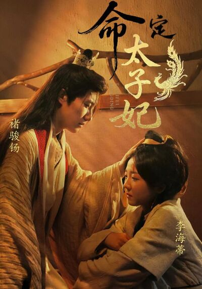 命定太子妃