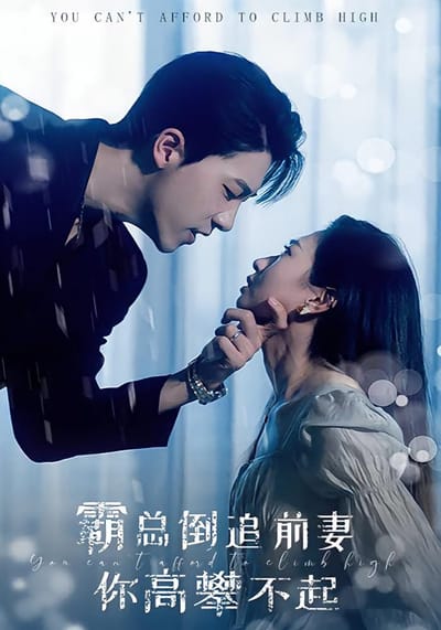 大佬倒追前妻 你高攀不起