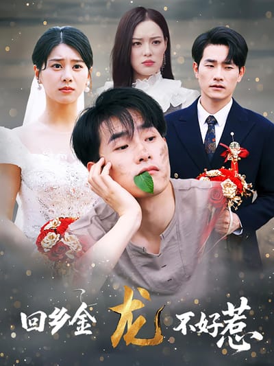 回鄉金龍不好惹