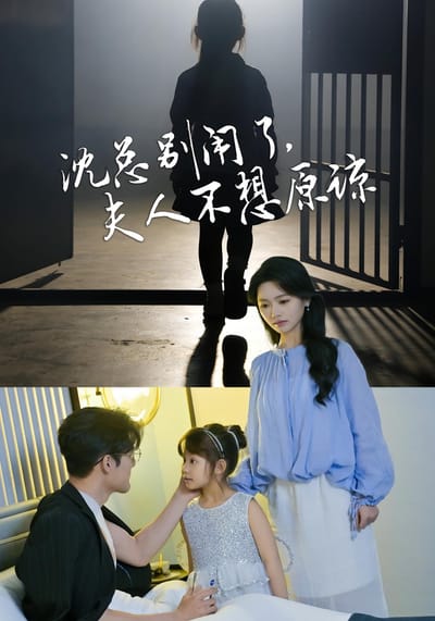 沈總別鬧了，夫人不想原諒
