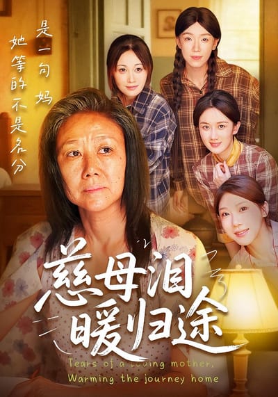 慈母淚，暖歸途