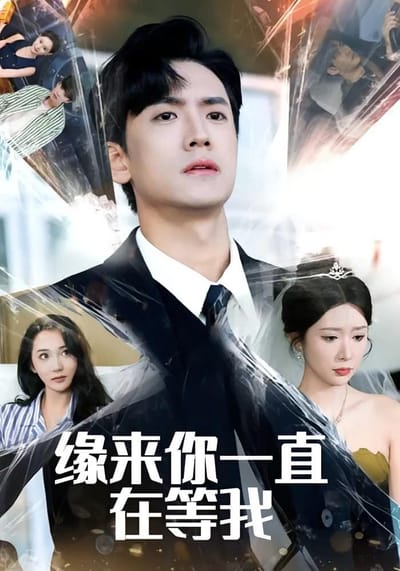 缘来你一直在等我