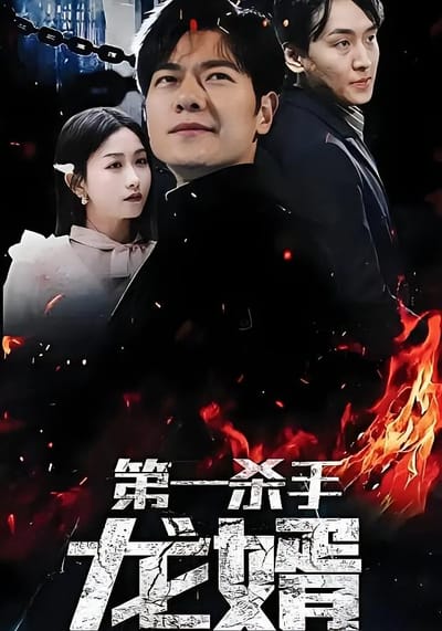 第一杀手龙婿