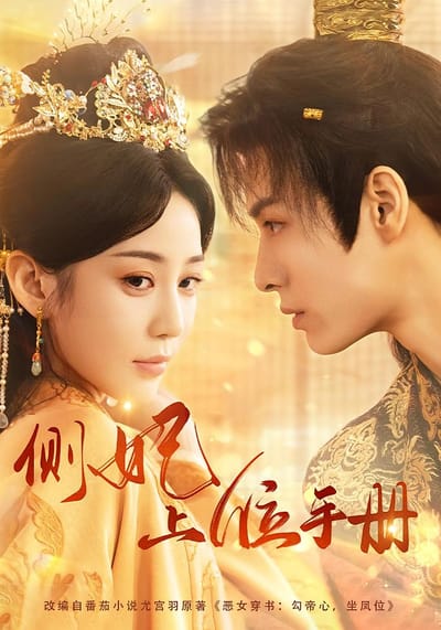 側妃上位手冊