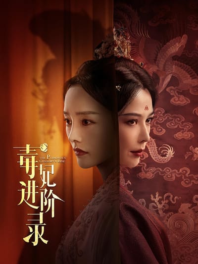 毒妃進階錄
