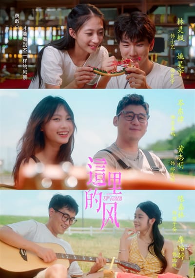 这里的风