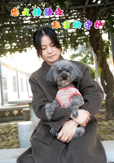 忠犬锤锤之无言的守护