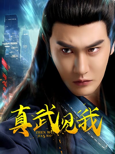 真武见我