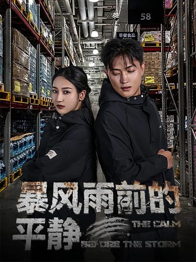 暴风雨前的平静