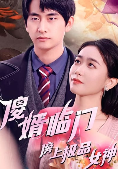 傻婿臨門傍上極品女神