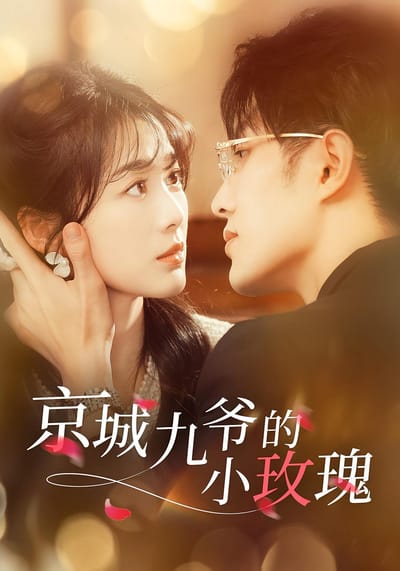 京城九爺的小玫瑰