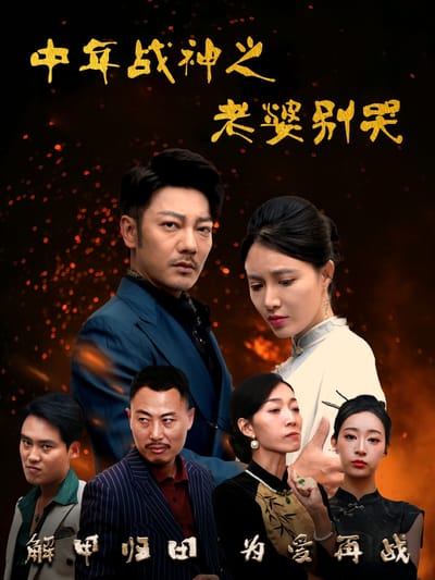 中年戰神之老婆別哭